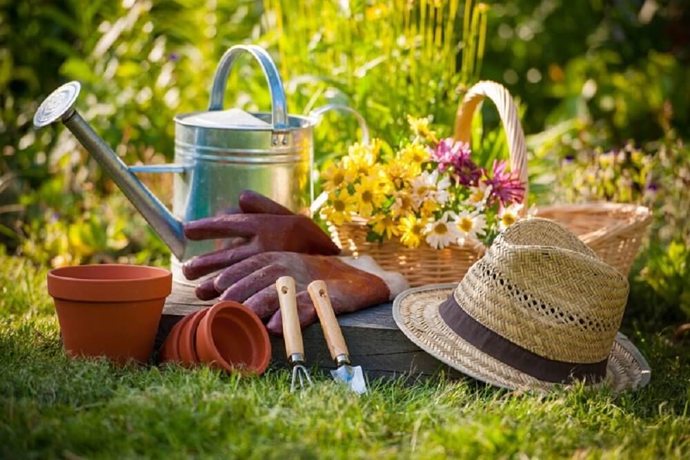 8 outils indispensables pour le jardinier débutant | Le Potager