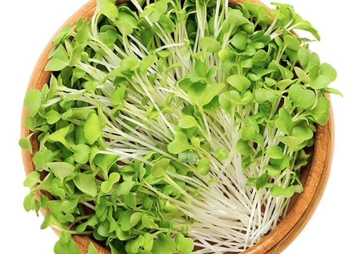 5 légumes à faire pousser pour manger les graines germées et pousses