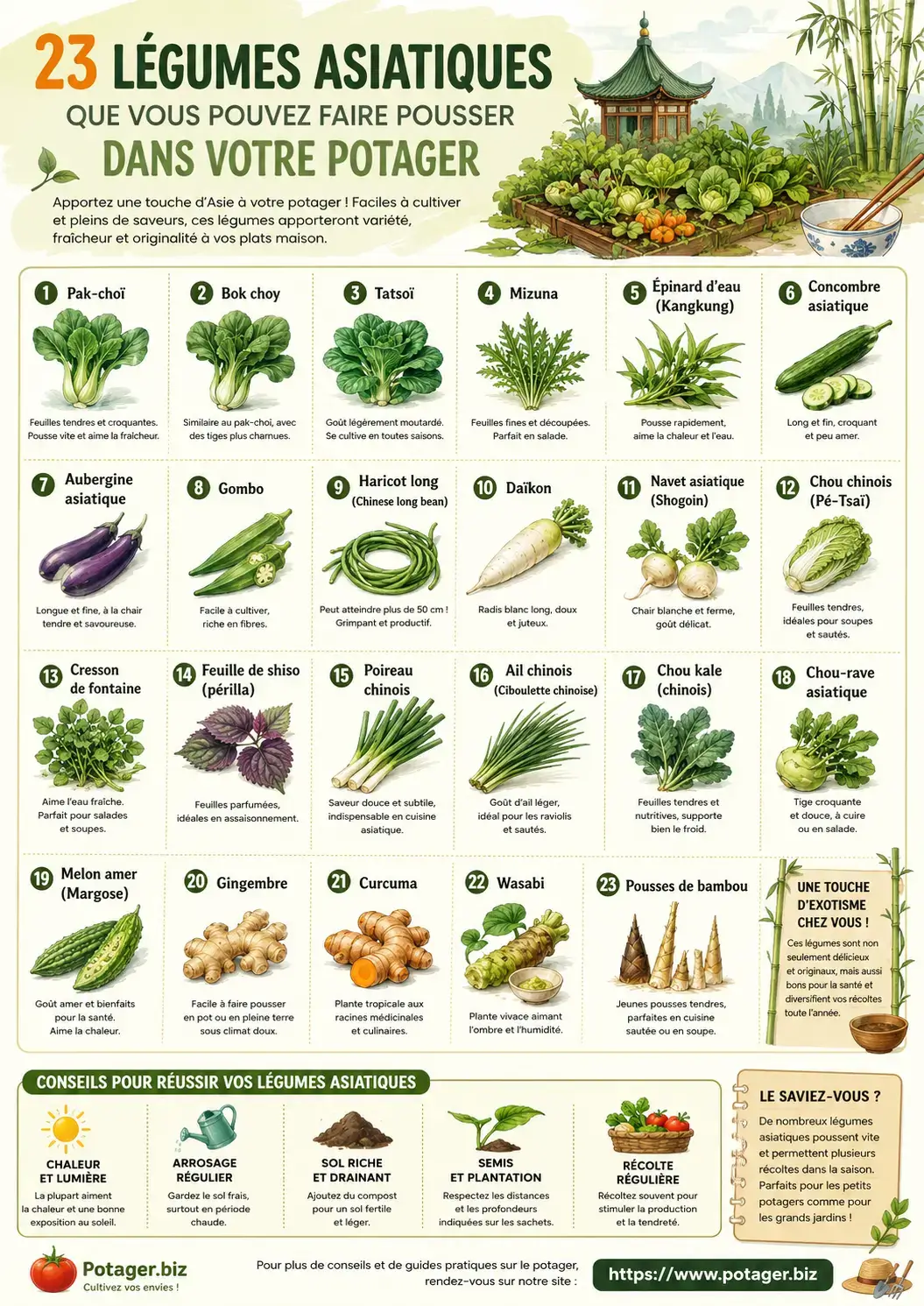23 légumes asiatiques pour le potager