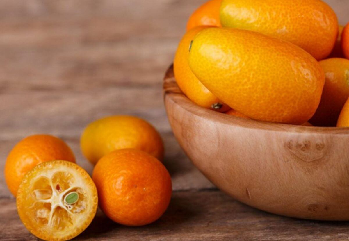 Graines De Kumquat - Sachet De 100 Graines Pour Cultiver Votre Propre Arbuste à Fruits Oranges (bonsaï Possible)